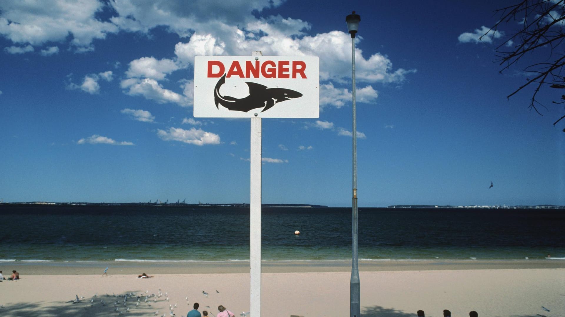 Für Surfer besonders wichtig: Ein Schild an einem Strand in Sydney warnt vor Haien. Für Surfer besonders wichtig: Ein Schild an einem Strand in Sydney warnt vor Haien.