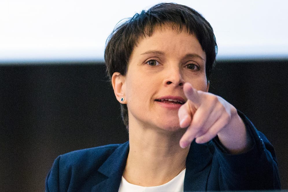 AfD-Chefin Frauke Petry will ARD und ZDF abschaffen.