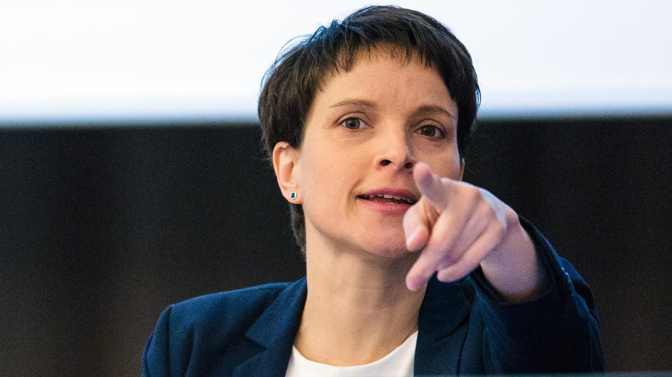 AfD-Chefin Frauke Petry will ARD und ZDF abschaffen.