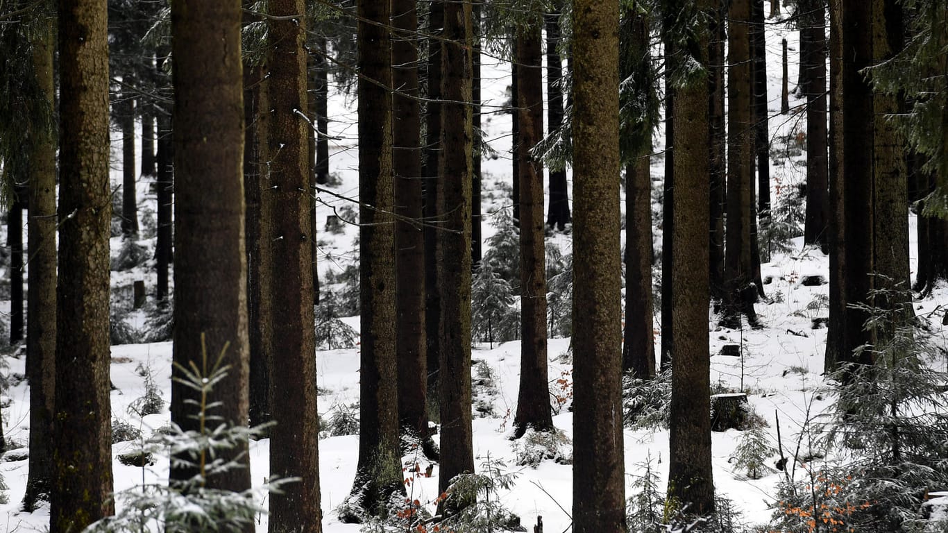 Im Sächsischen Wald macht ein Jäger eine grausame Entdeckung. Er findet die Leiche eines offenbar erfrorenen Flüchtlings.