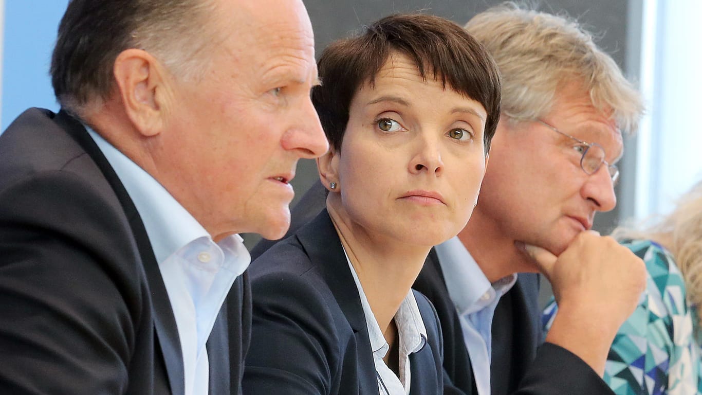 Die AfD-Bundesvorsitzenden Frauke Petry und Jörg Meuthen und der damalige Berliner Spitzenkandidat Georg Pazderski auf einer Pressekonferenz.