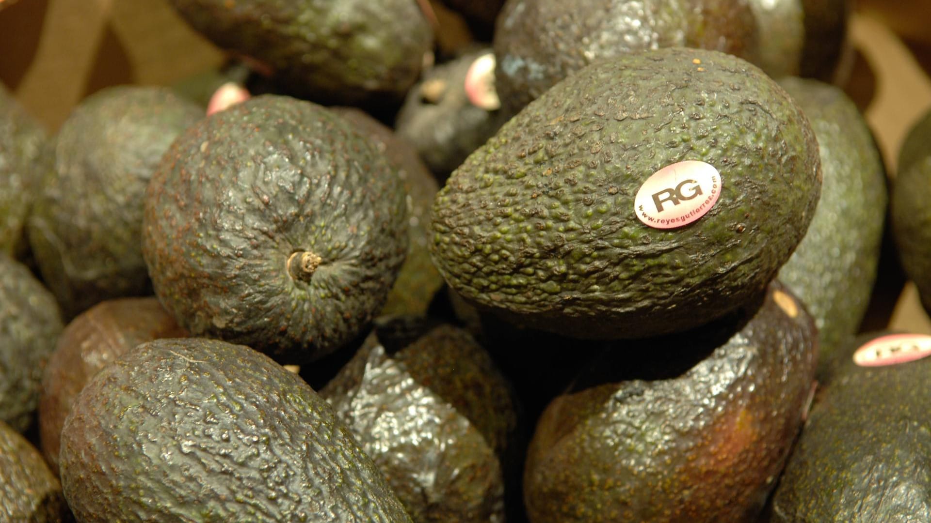 Avocados: Heimat der Avocado ist das tropische und subtropische Zentralamerika.