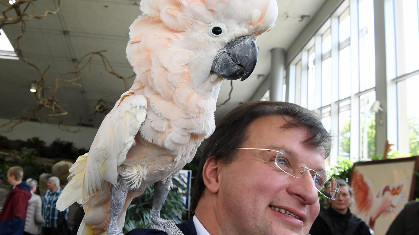 Matthias Reinschmidt, Zoodirektor von Karlsruhe
