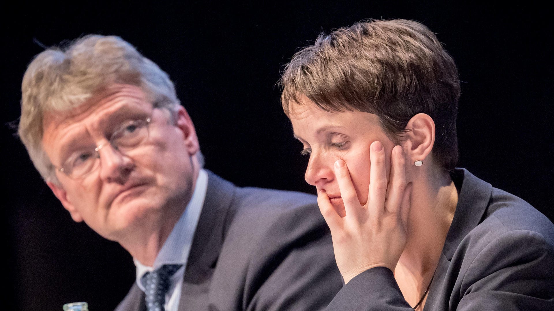 Jörg Meuthen und Frauke Petry suchen Hilfe bei der OSZE.