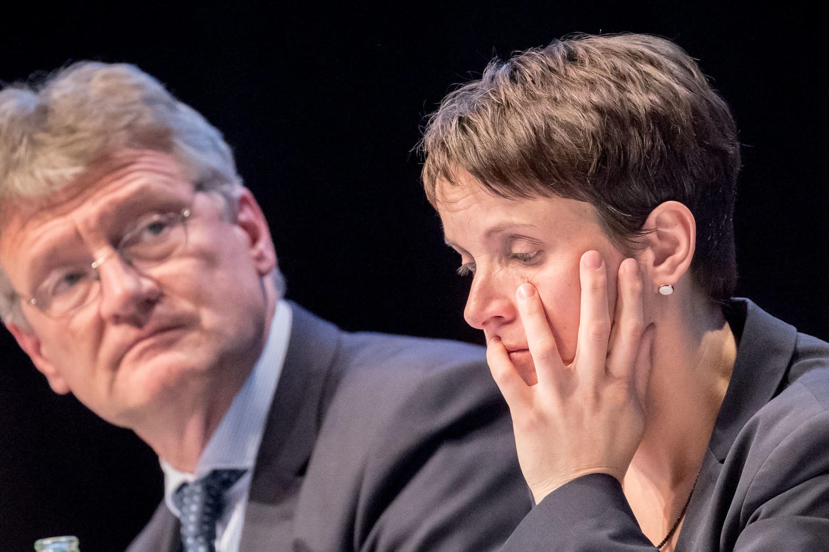 Jörg Meuthen und Frauke Petry suchen Hilfe bei der OSZE.