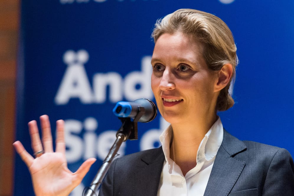 Die Spitzenkandidatin der AfD zur Bundestagswahl, Alice Weidel, spricht in Henstedt-Ulzburg (Schleswig-Holstein) während einer Wahlkampfveranstaltung.