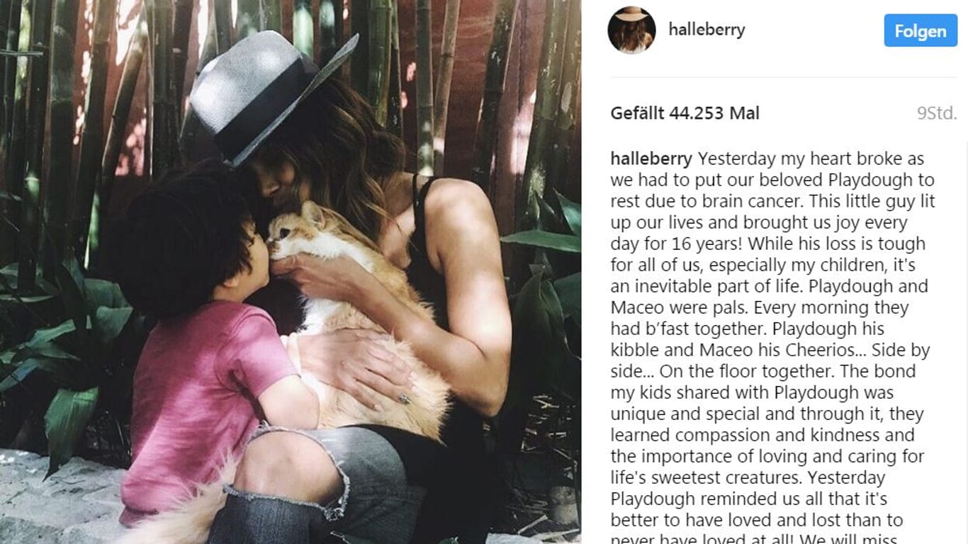 Diesen Post veröffentlicht Halle Berry auf Instagram.