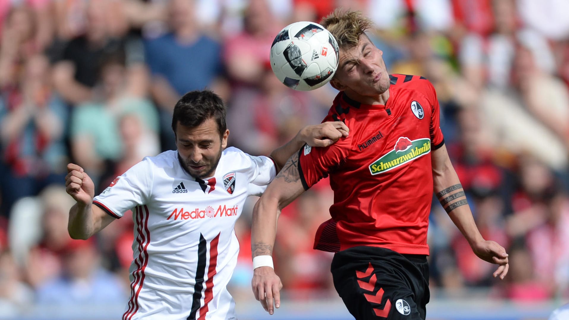 Markus Suttner (l) von Ingolstadt und Maximilian Philipp (r) von Freiburg
