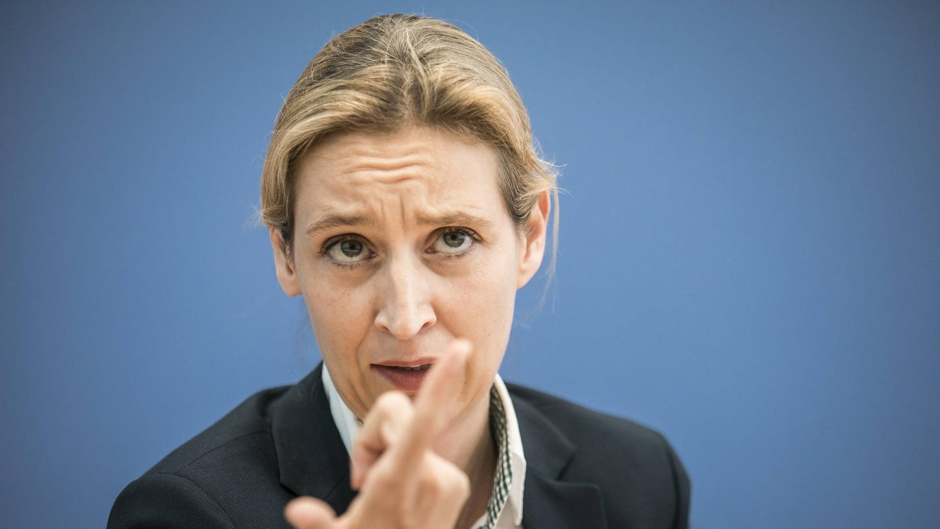 Alice Weidel soll das wirtschaftspolitische Profil ihrer Partei stärken.