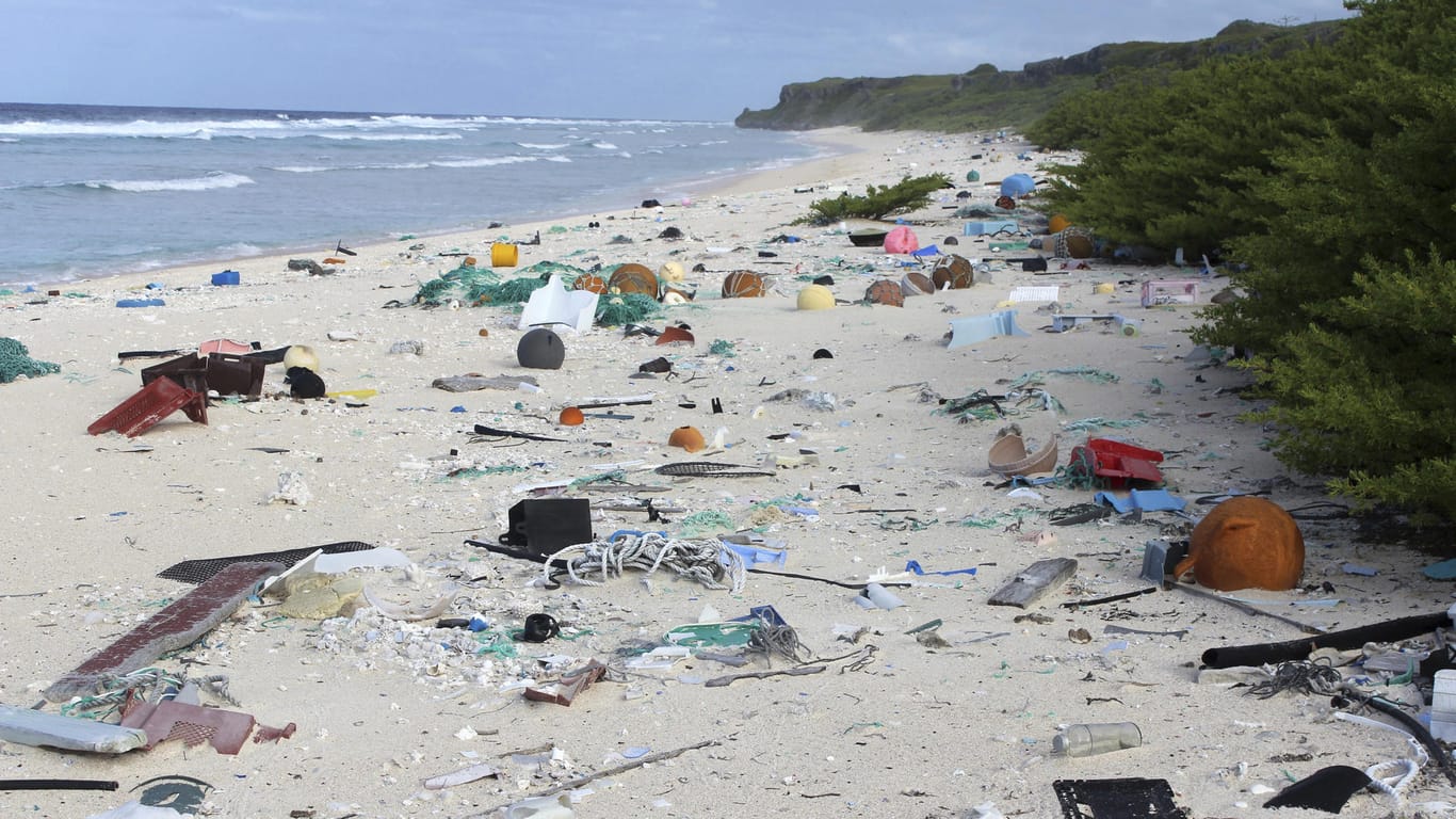 Forscher fanden an den Stränden der kleinen, unbewohnten Insel im Südost-Pazifik rund 38 Millionen Kunststoffteile.