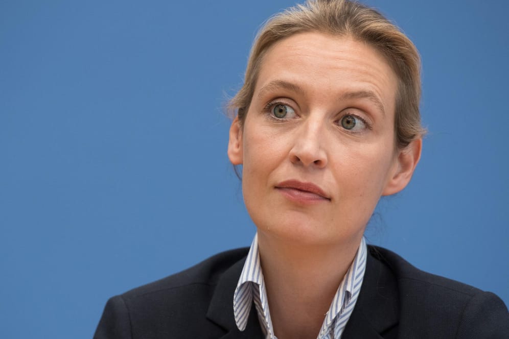 Im Streit um die Formulierung "Nazi-Schlampe" hat das Hamburger Landgericht einen Unterlassungsantrag von Alice Weidel zurückgewiesen.