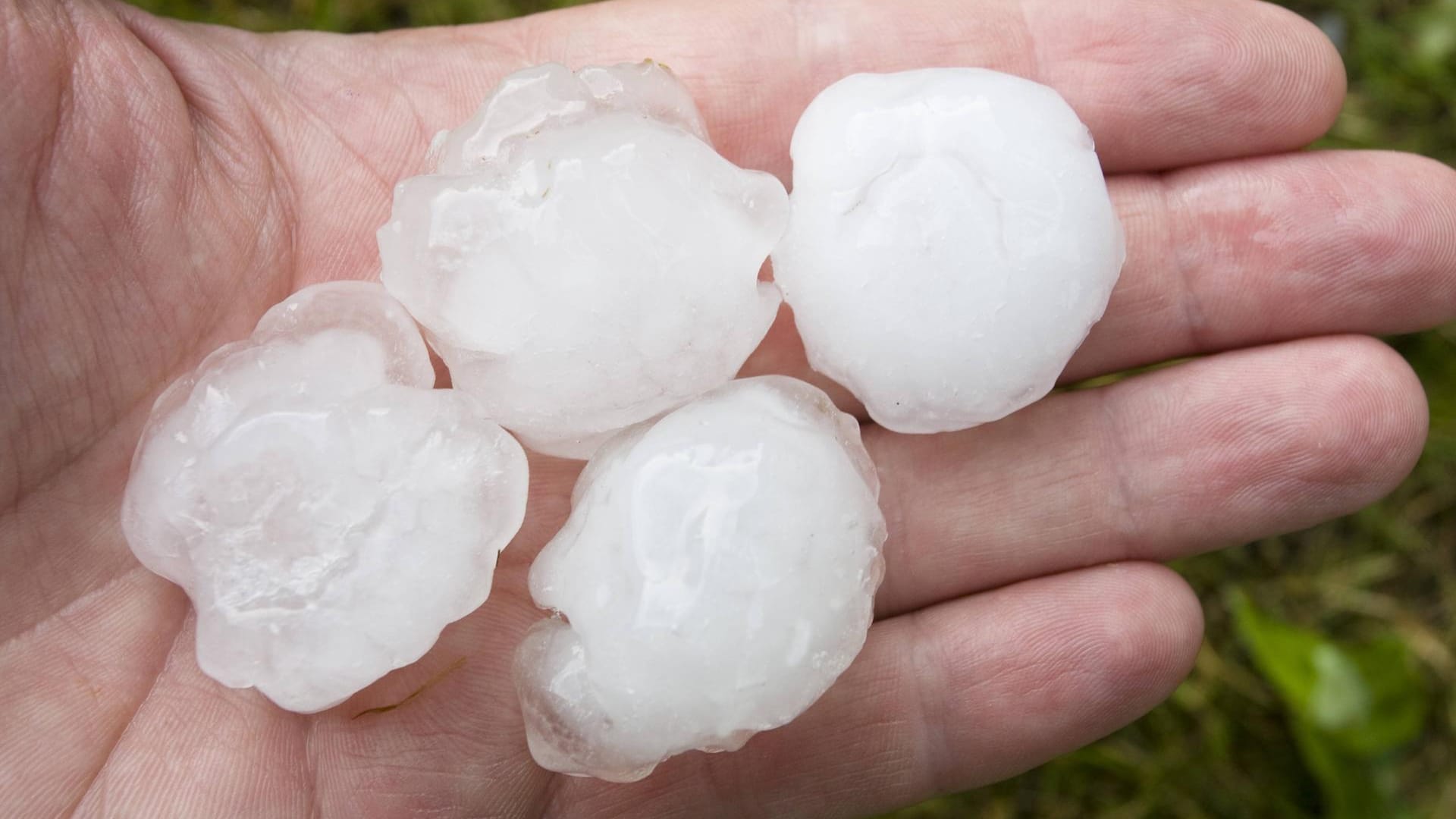 Tischtennisballgrosse Hagelkörner. Stellen Sie sich vor, dass die Hagelkörner in Indien mehr als doppelt so groß waren.