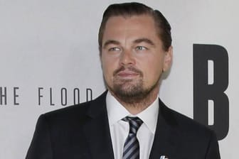 Leonardo DiCaprio ist wieder auf dem Markt.