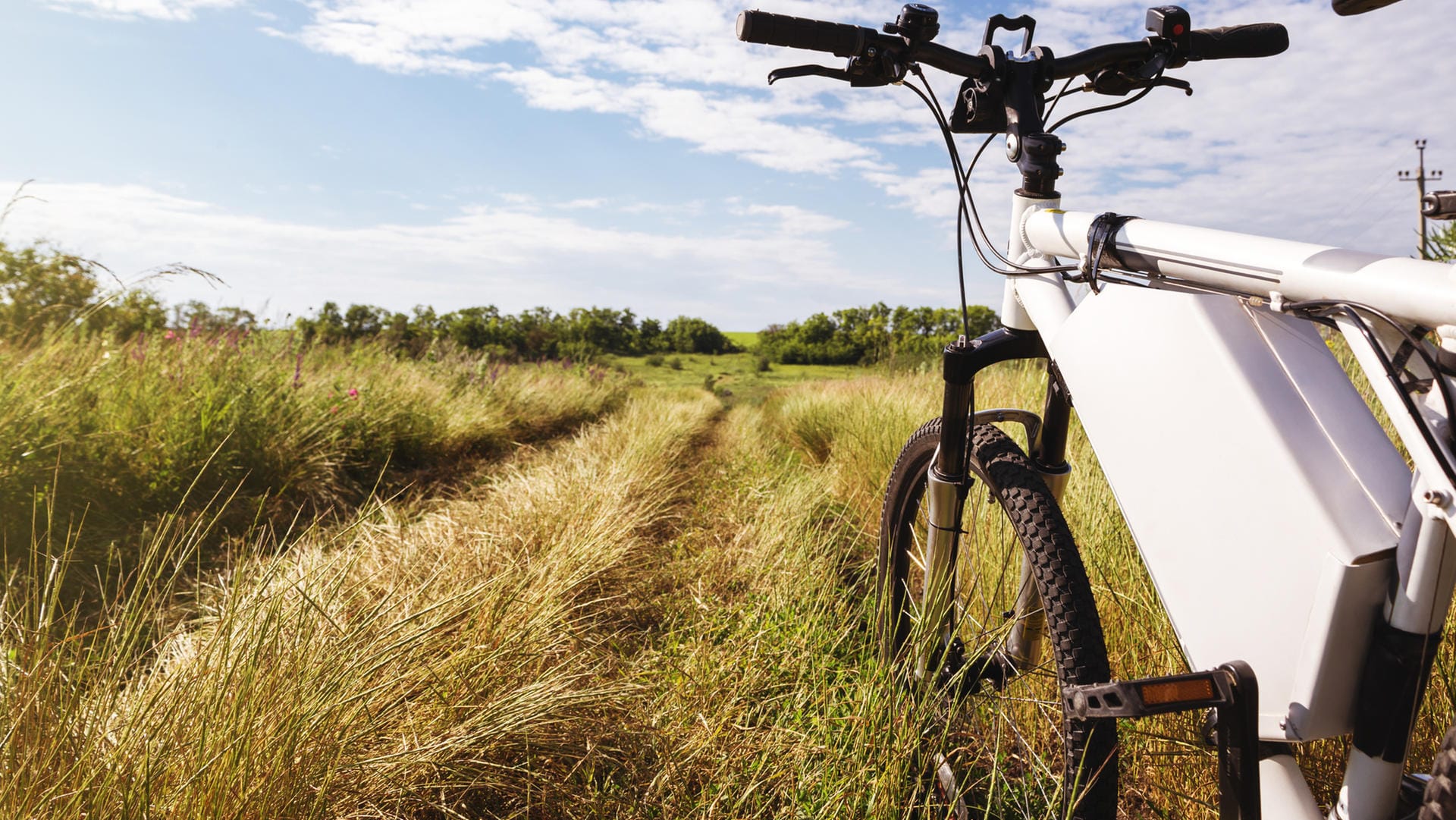 Ein E-Bike im Grünen