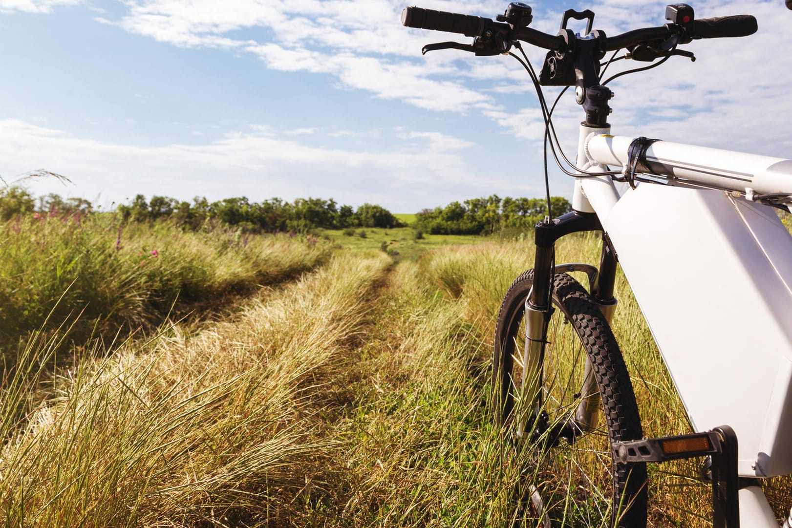 Ein E-Bike im Grünen