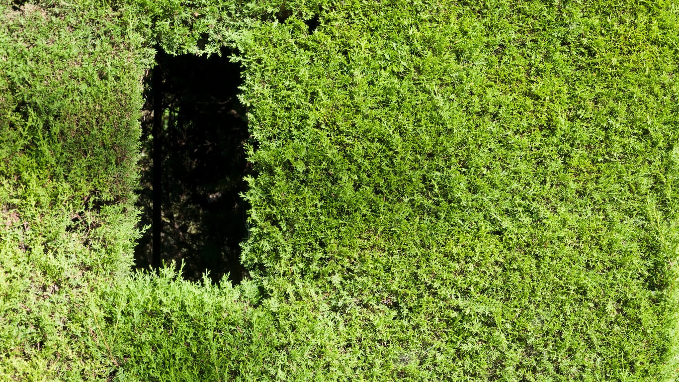Eine grüne Wand mit Loch