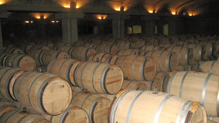 Im Keller des Château d'Yquem lagern die aktuellen Jahrgänge bis zur Flaschenreife