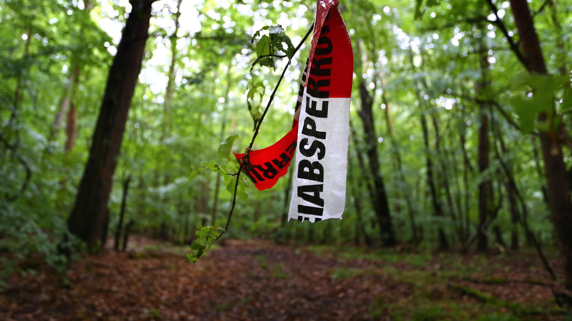 Reste von Absperrbändern der Polizei hängen in einem Wald bei Kist. In dem Waldstück wurde der zuvor entführte Sohn des Unternehmers Würth aufgefunden.