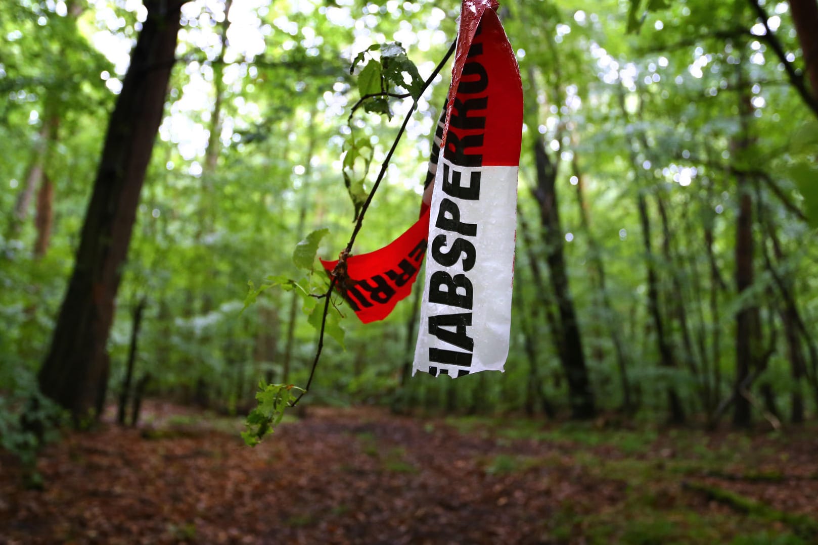 Reste von Absperrbändern der Polizei hängen in einem Wald bei Kist. In dem Waldstück wurde der zuvor entführte Sohn des Unternehmers Würth aufgefunden.