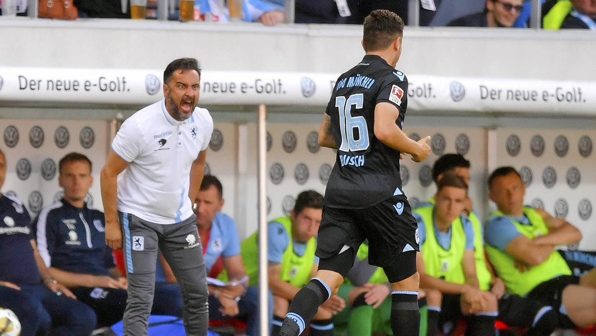 60-Trainer Vitor Pereira schreit Abwehrspieler Marnon Busch an.