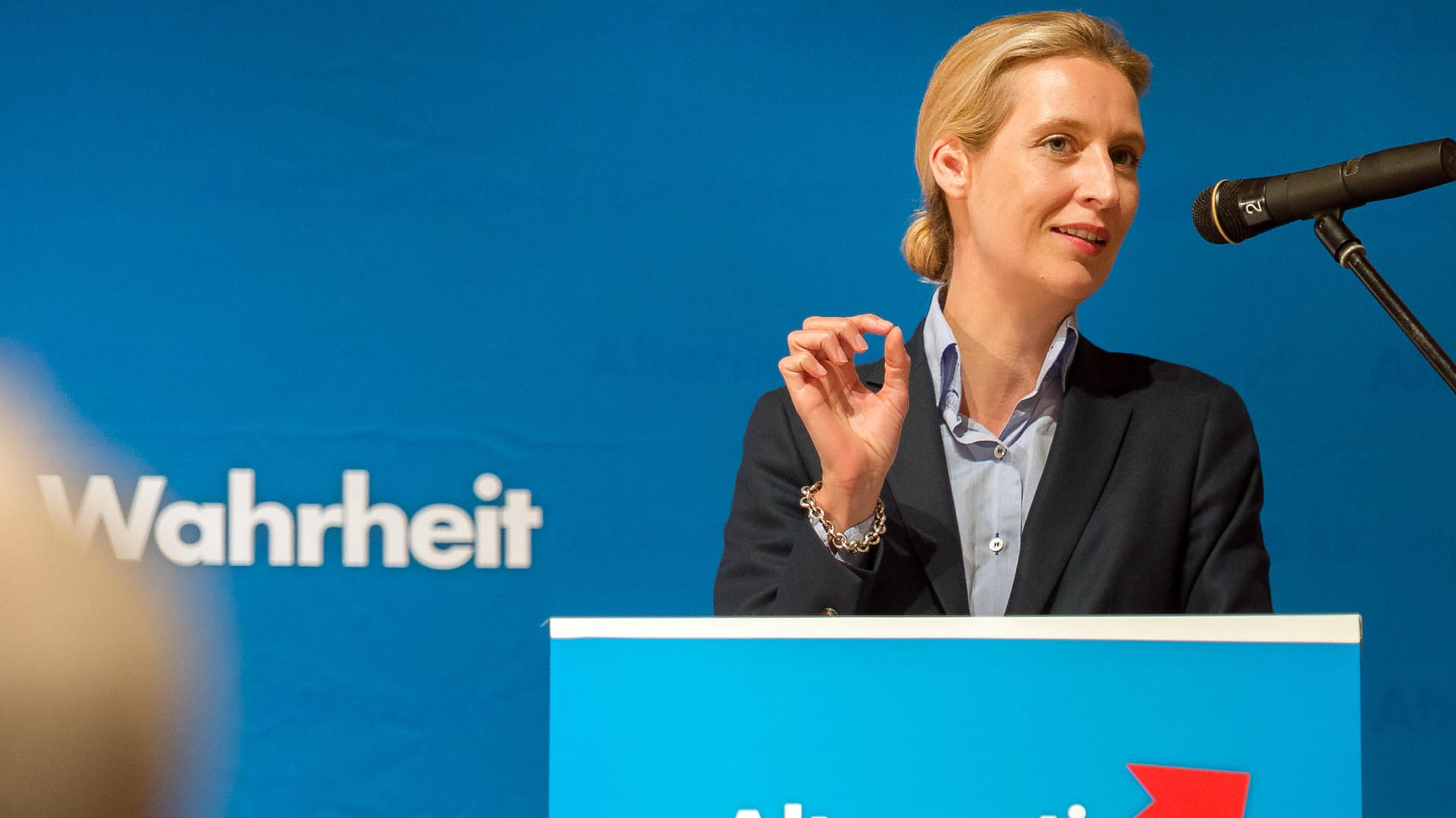 Die Spitzenkandidatin der AfD, Alice Weidel, geht über das Programm ihrer Partei hinaus.