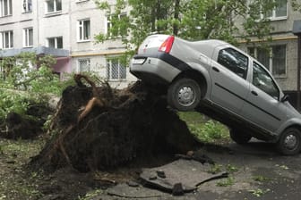 Mehr als 1000 Bäume wurden in Moskau während eines heftigen Sturms entwurzelt. Es kam zu Stromausfällen in der russischen Hauptstadt.