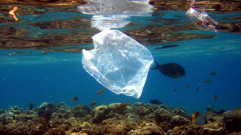 Eine Plastiktüte schwimmt über Korallen im Roten Meer in Ägypten: Die Vermüllung der Meere nimmt immer mehr zu.