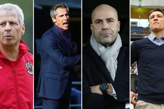 Wer wird Trainer beim BVB? Lucien Favre, Paulo Sousa, Peter Bosz und Niko Kovac (v.l.) sollen Kandidaten sein.