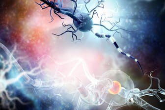 Multiple Sklerose: Nervenzellen werden geschädigt