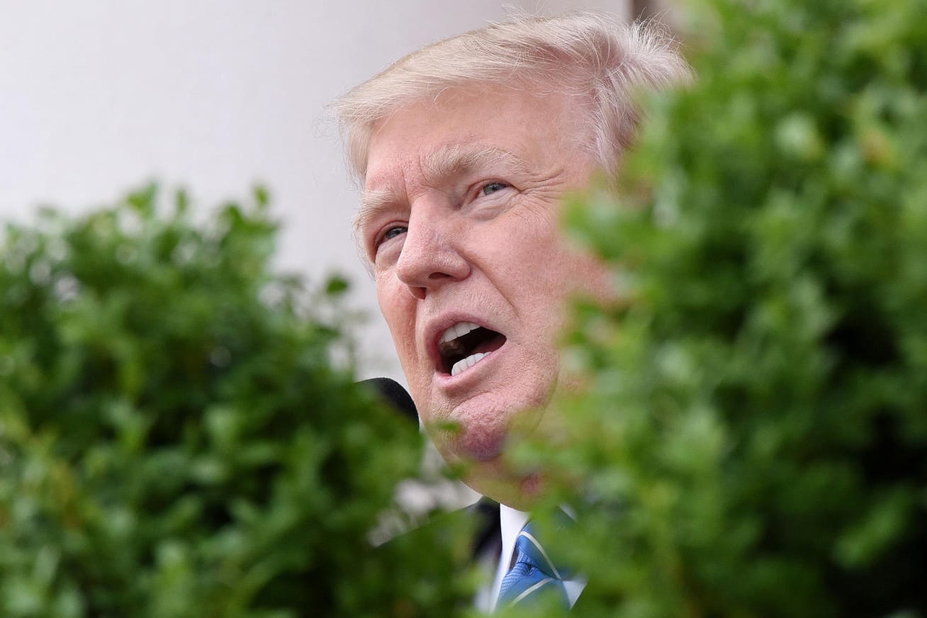 US-Präsident Donald Trump ist von einer Komikerin "geköpft" worden.