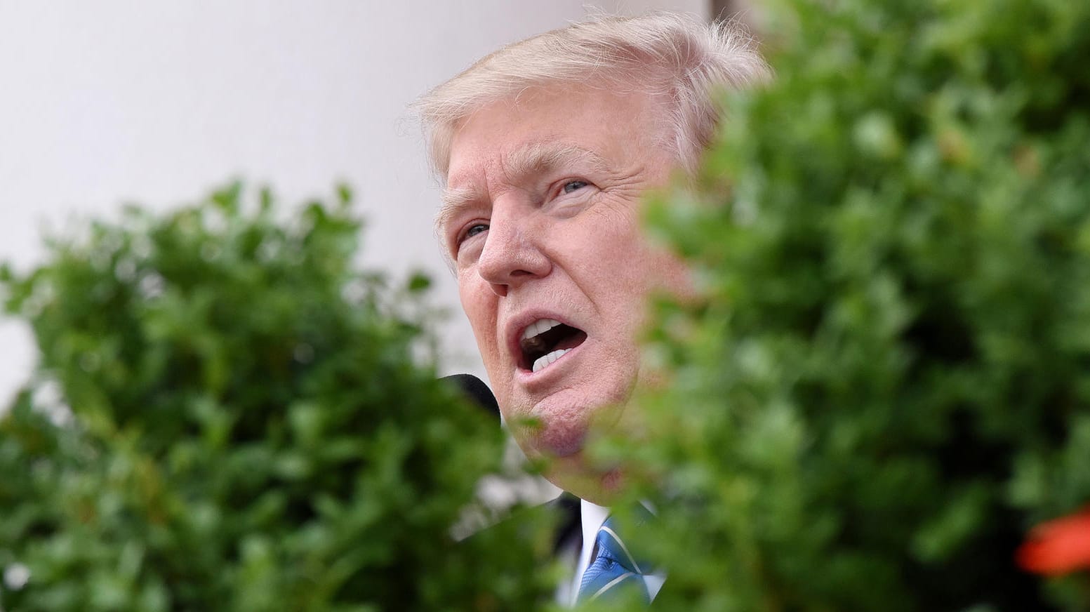 US-Präsident Donald Trump ist von einer Komikerin "geköpft" worden. US-Präsident Donald Trump ist von einer Komikerin "geköpft" worden.