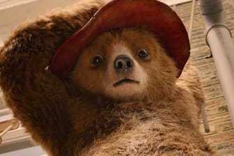 Paddington Bär: Die Film- und Literaturfigur ist jetzt offiziell britisch.