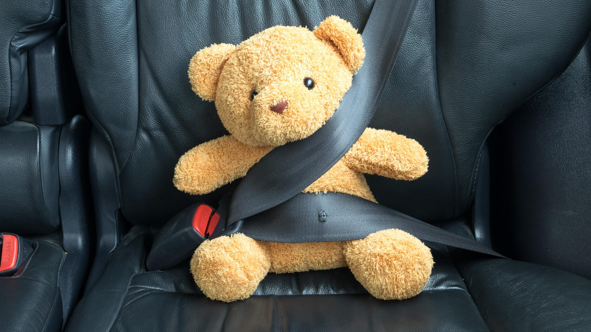 Teddys brauchen keinen extra Kindersitz im Auto, Kinder schon. Manche Sitze schützen sie laut Stiftung Warentest nicht zuverlässig.