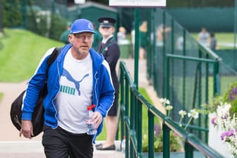 Boris Becker als Trainer von Novak Djokovic in Wimbledon 2016.