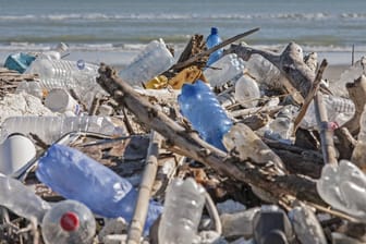 2050 könnte die Zahl der Tonnen Plastik in den Ozeanen größer sein als die Zahl der Tonnen Fisch.