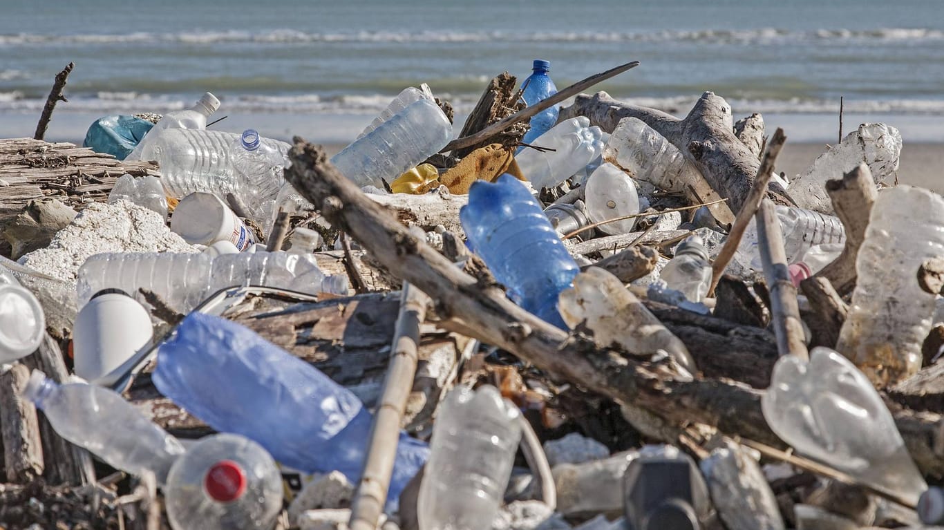 2050 könnte die Zahl der Tonnen Plastik in den Ozeanen größer sein als die Zahl der Tonnen Fisch.