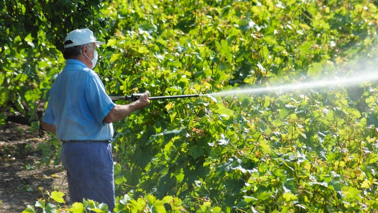 Ein Farmer spritzt Insektizide