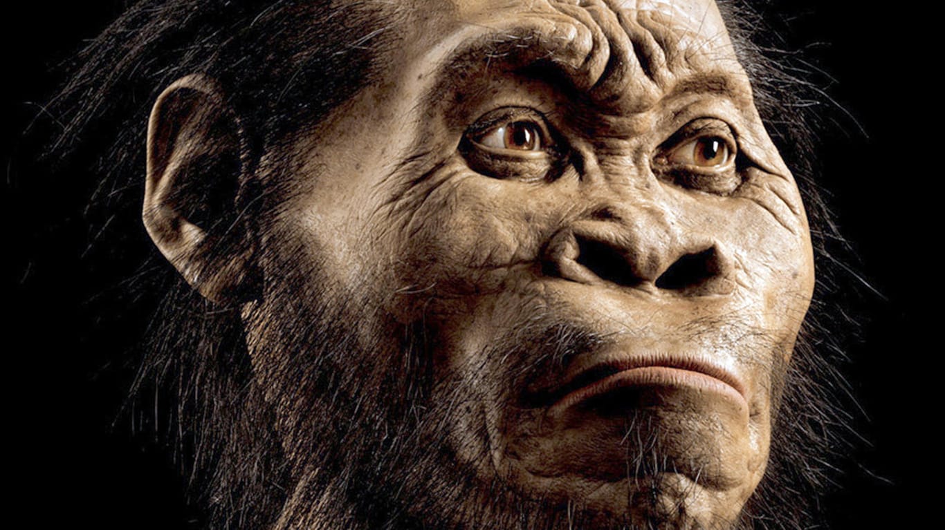 Homo naledi ist ein neuer Verwandter des modernen Menschen