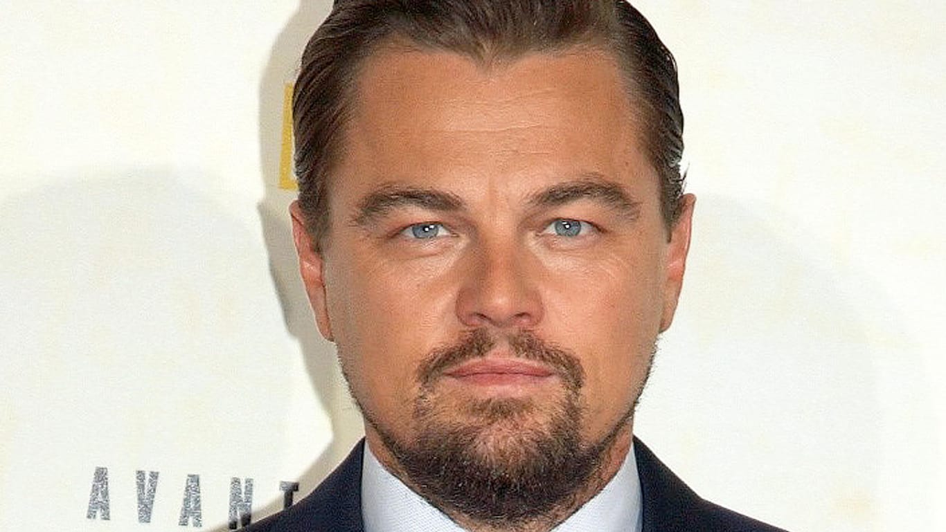 Leonardo DiCaprio ist Umweltaktivist und Schauspieler.
