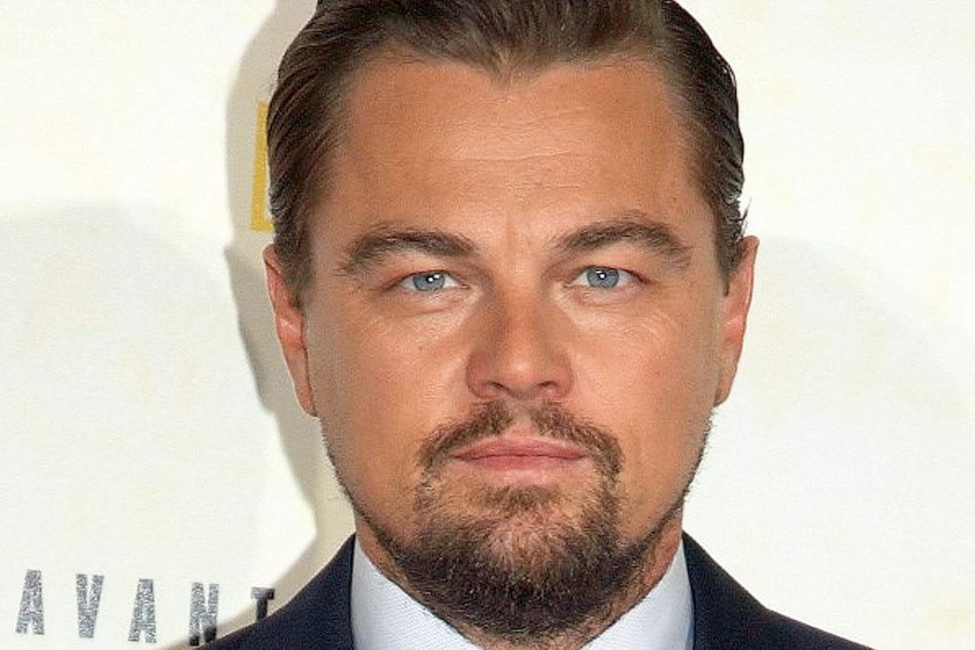 Leonardo DiCaprio ist Umweltaktivist und Schauspieler.