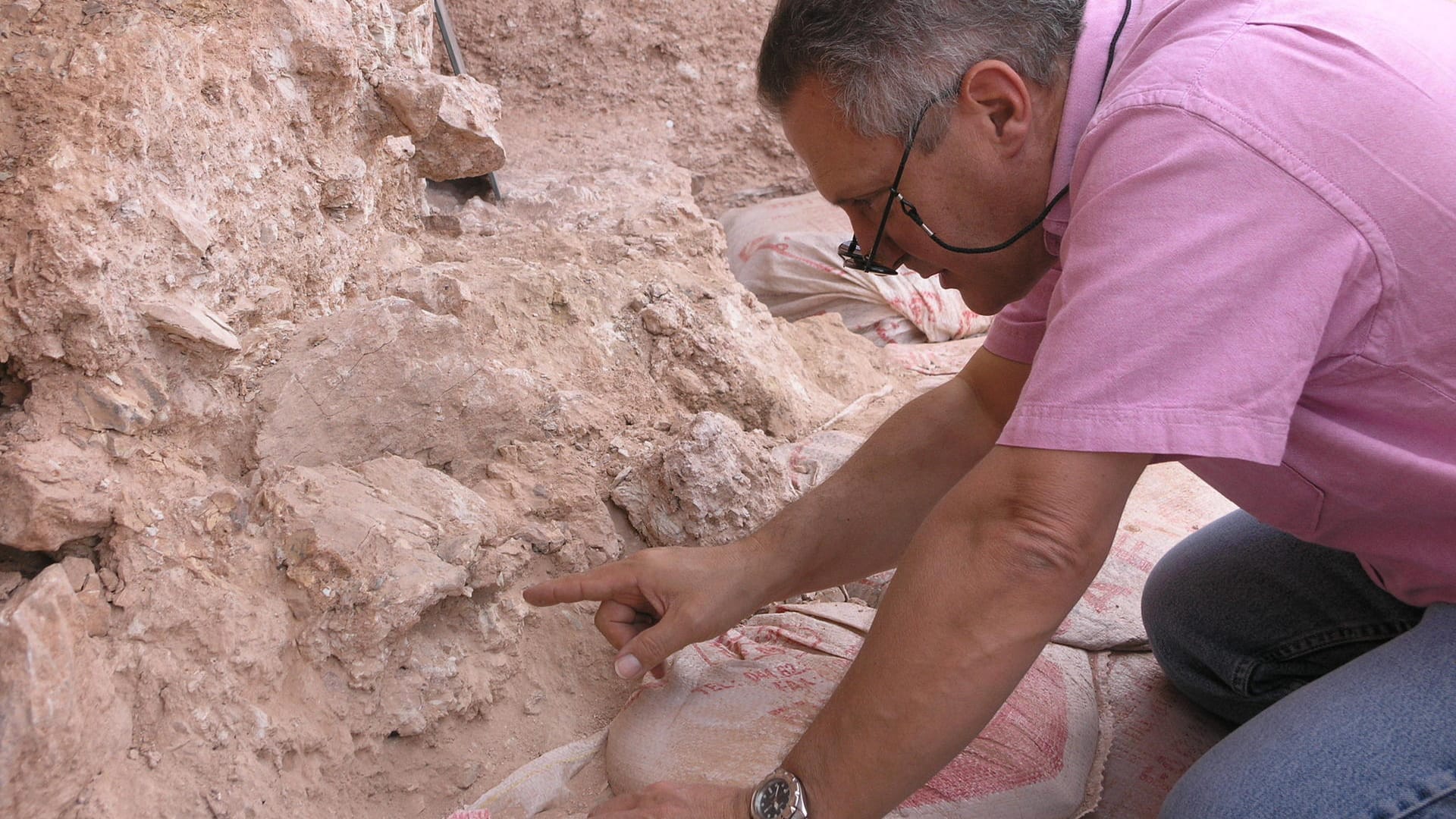 Homo sapiens älter als gedacht