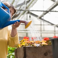 Eine Frau wässert Pflanzen