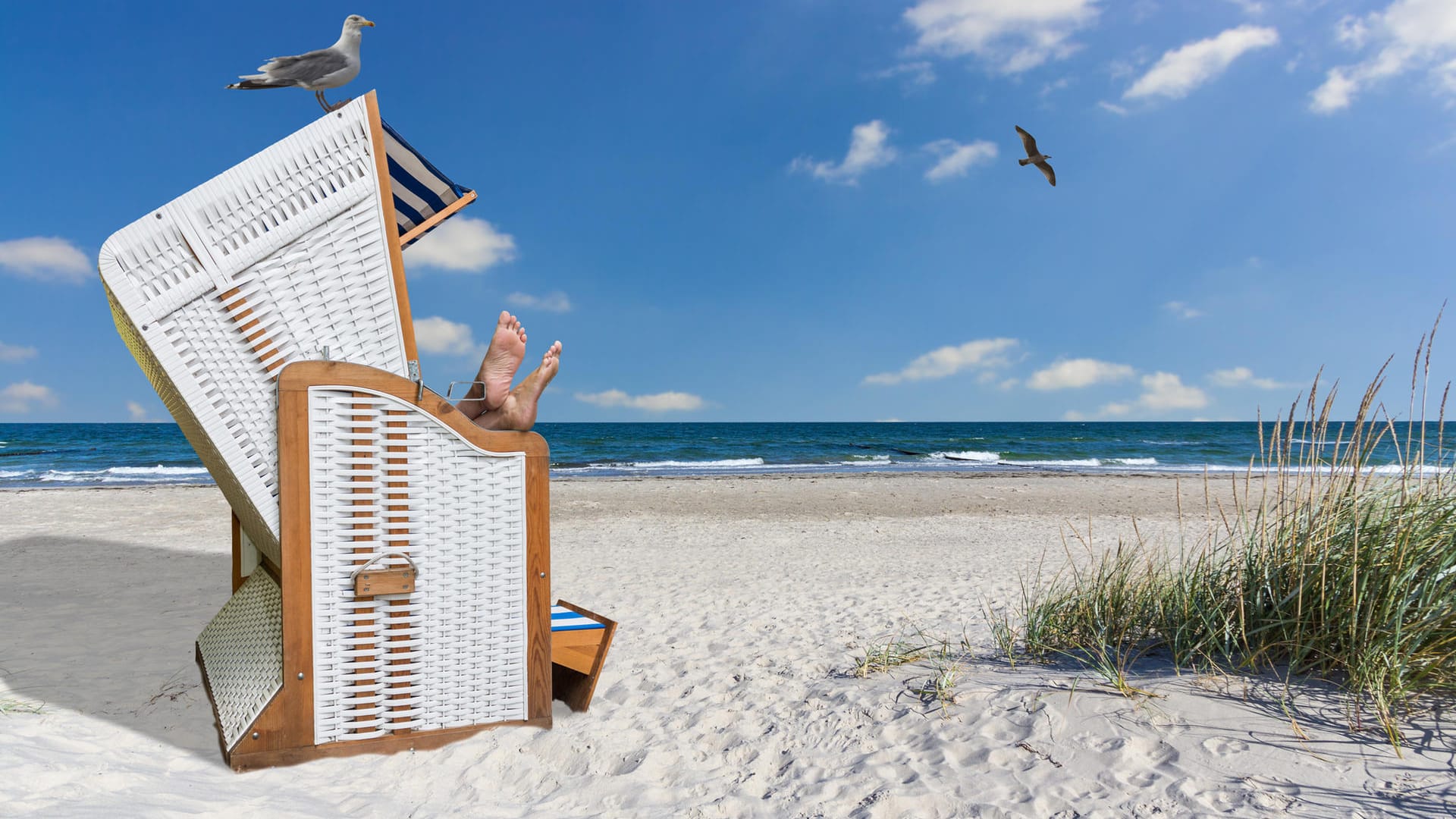 Der deutsche Ostseeküste lockte im vergangenen Jahr rund sechs Millionen Urlauber an die Strände.