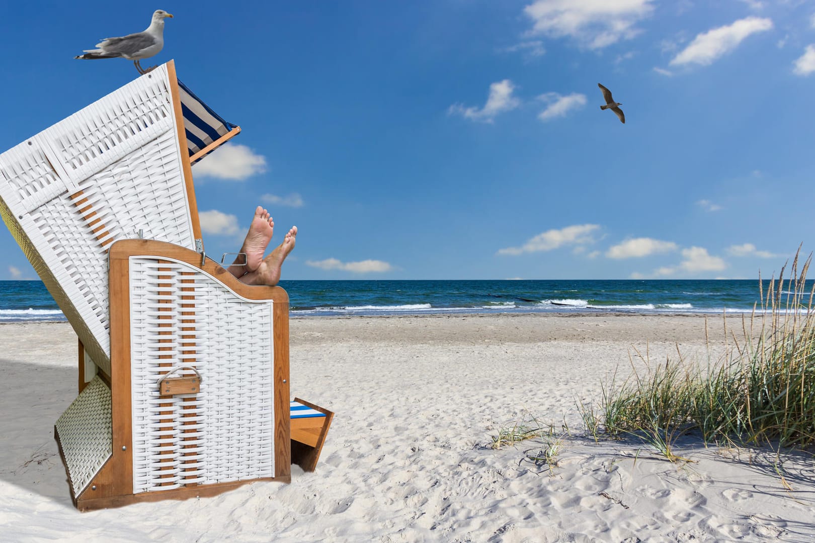 Der deutsche Ostseeküste lockte im vergangenen Jahr rund sechs Millionen Urlauber an die Strände.