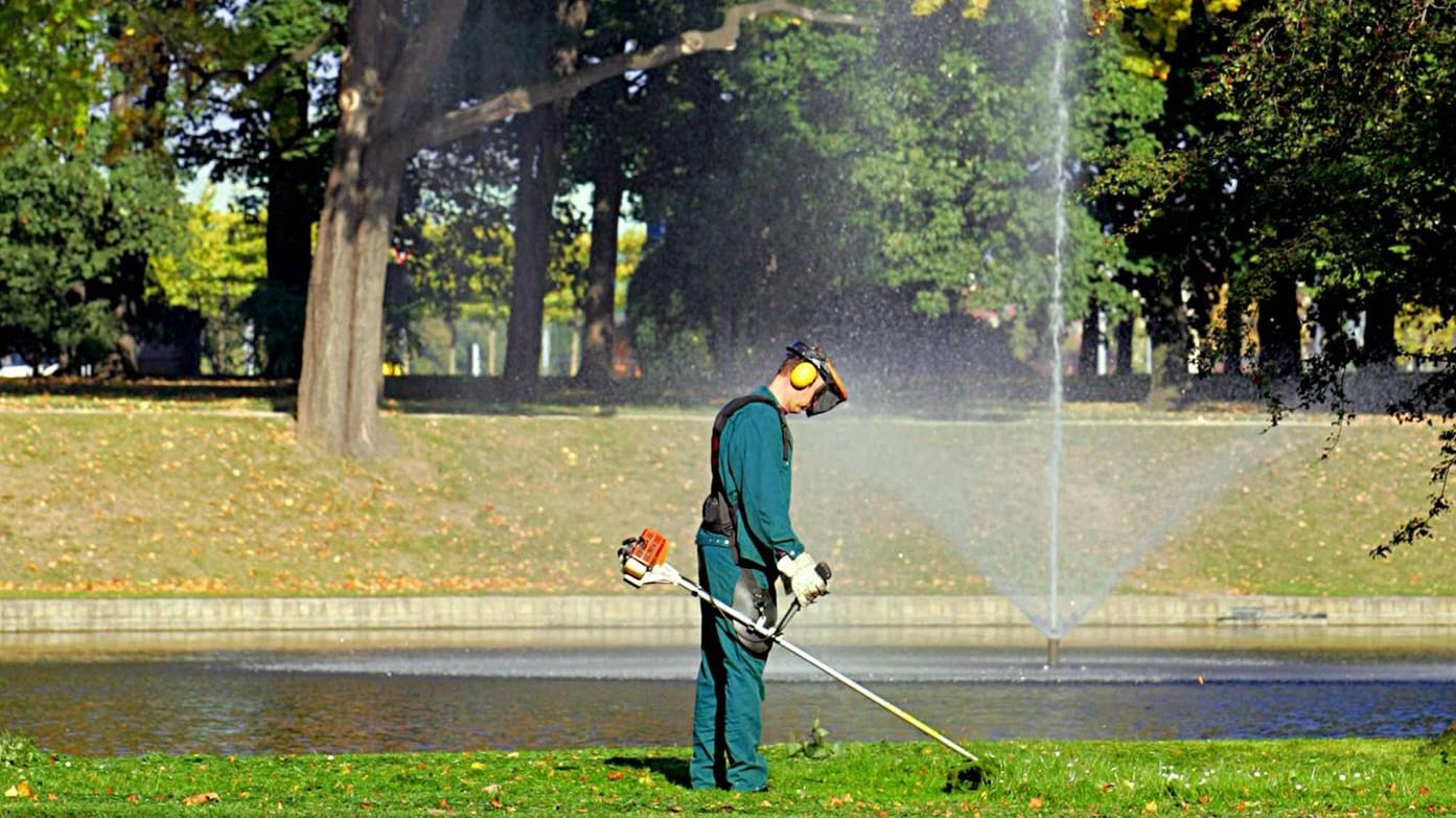 Gärtner trimmt den Rasen am Zwingerteich im herbstlich gefärbten Park