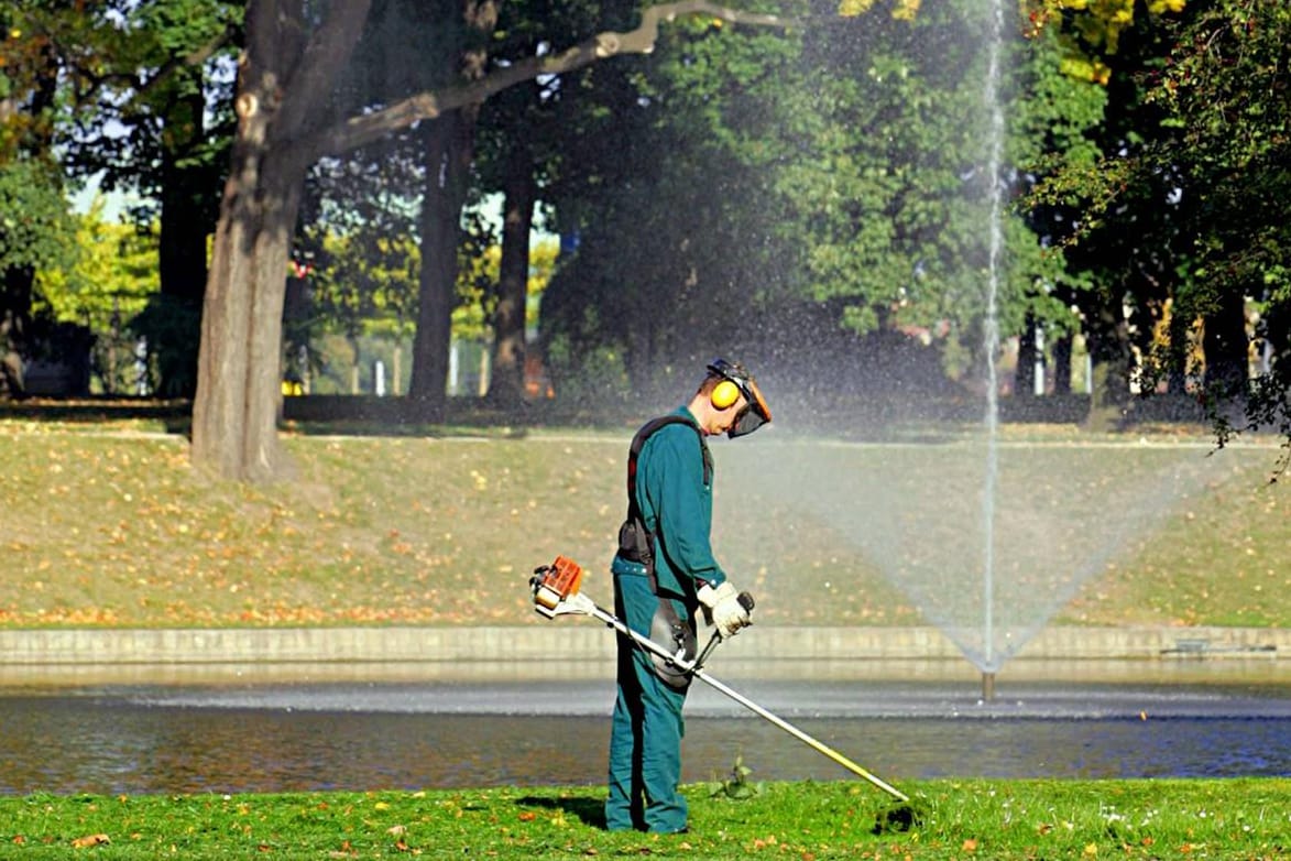 Gärtner trimmt den Rasen am Zwingerteich im herbstlich gefärbten Park