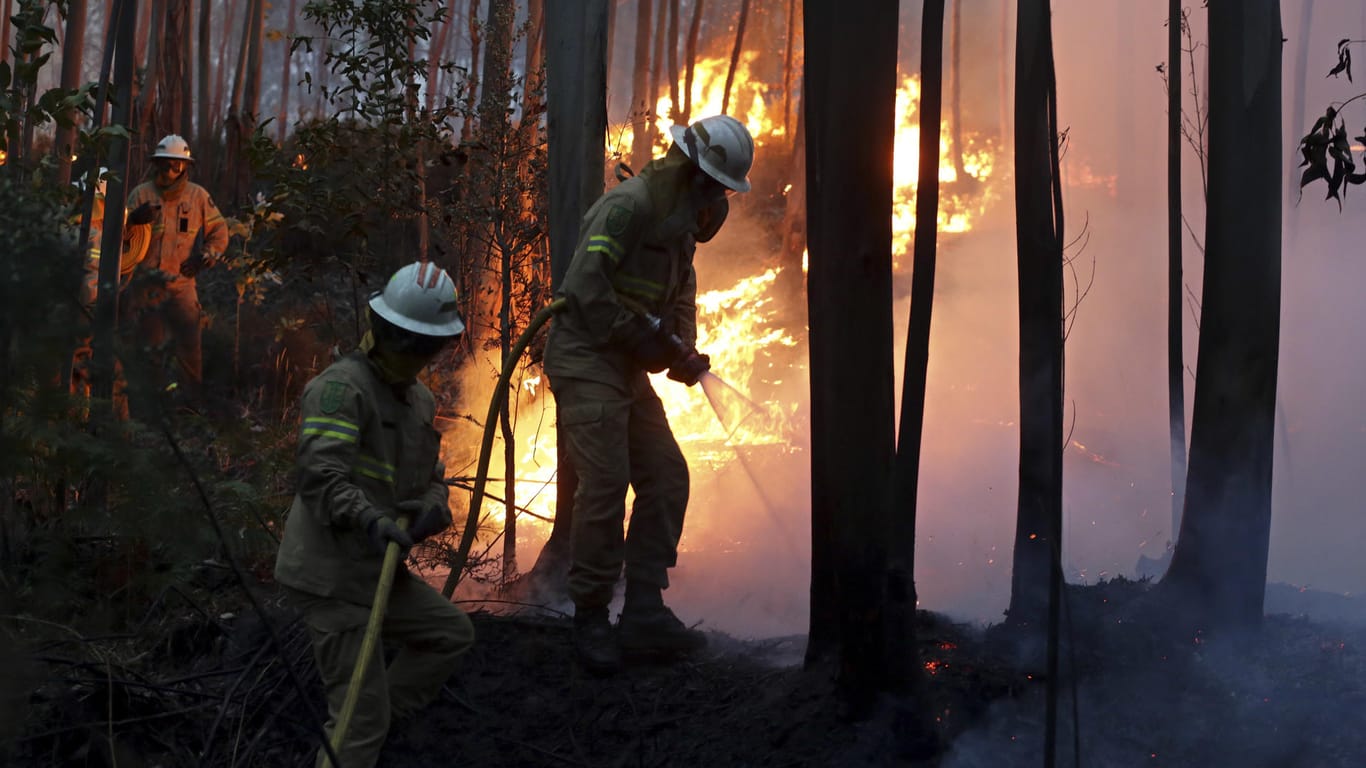Feuerwehrleute kämpfen in Portugal gegen die Flammen.
