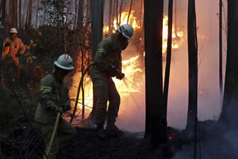 Feuerwehrleute kämpfen in Portugal gegen die Flammen.