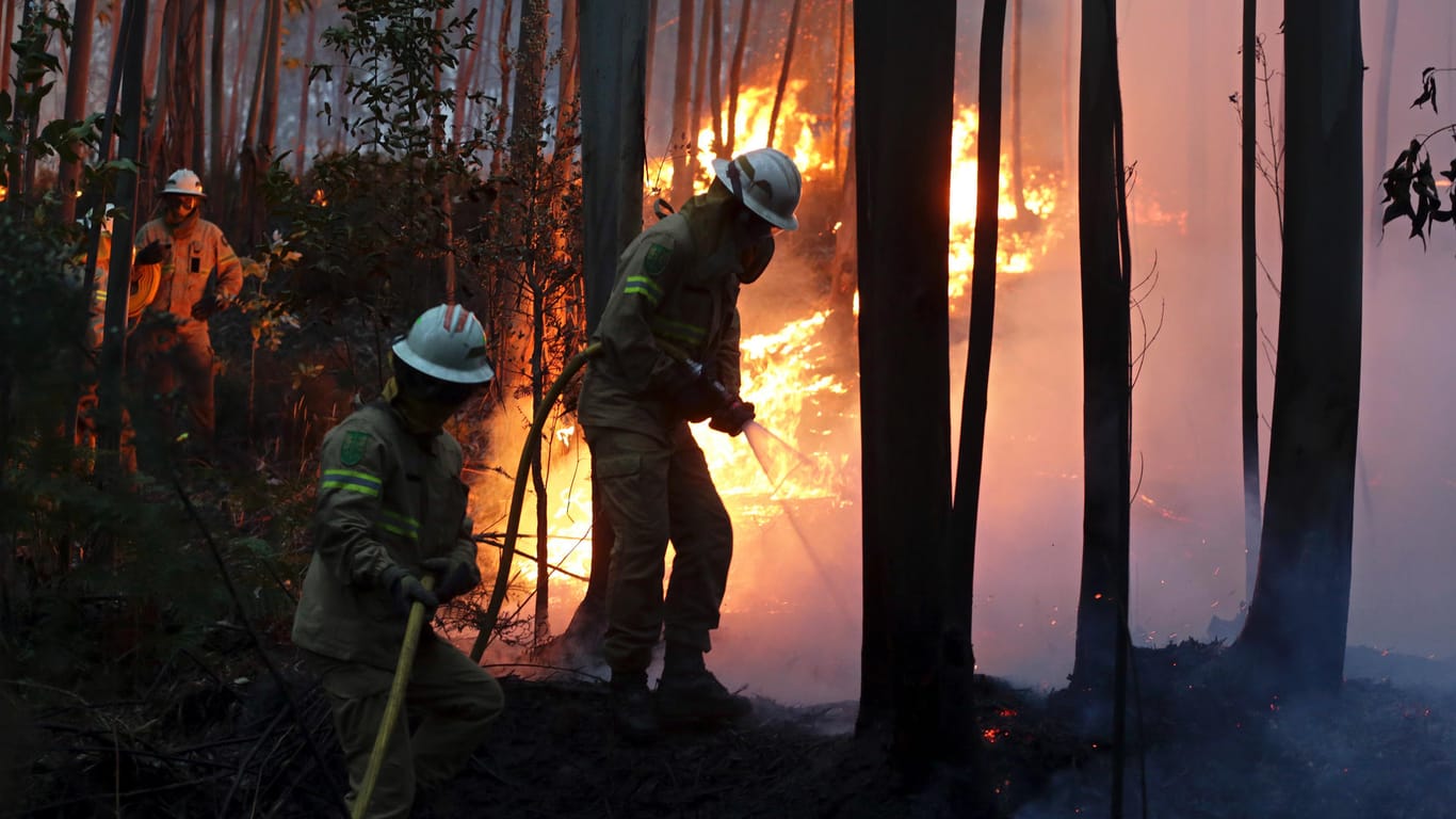 Feuerwehrleute der Republikanische Nationalgarde versuchen in Avelar einen Waldbrand zu löschen.
