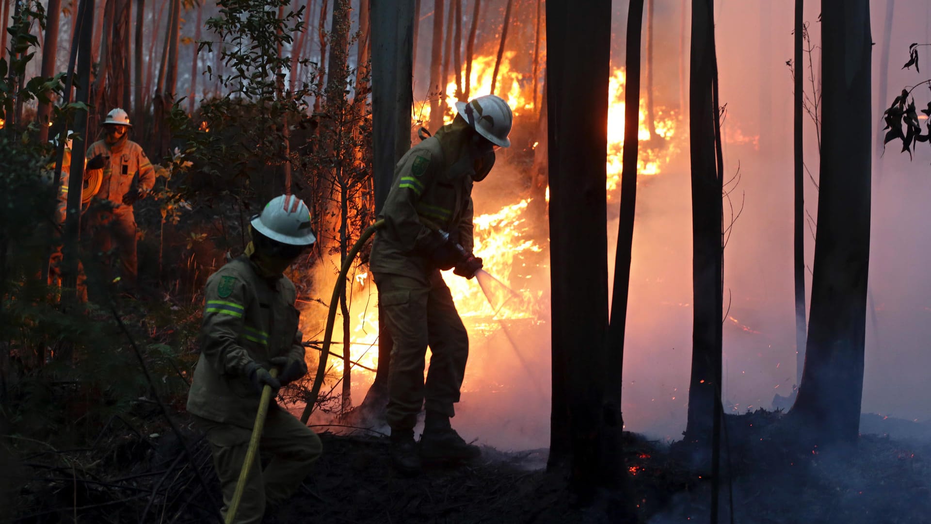 Feuerwehrleute der Republikanische Nationalgarde versuchen in Avelar einen Waldbrand zu löschen. Feuerwehrleute der Republikanische Nationalgarde versuchen in Avelar einen Waldbrand zu löschen.